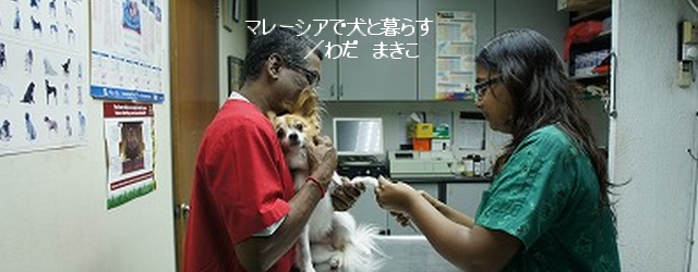 ペットにとっても環境が全く異なる海外生活。ペットの健康管理の大切さについては、こちらに来て一年を過ぎようとしている今、まさにしみじみと実感しているところである。

日本ではほぼ毎週小児科、耳鼻科にお世話になっていた息子は...